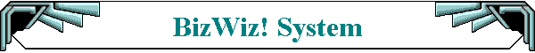 BizWiz! System