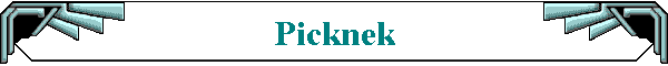 Picknek